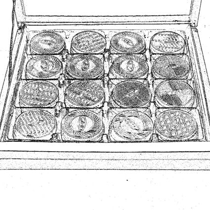 inka-pastanesi-ankara-unlu-mamüller-yaş-pasta-ekler-baklava-çankaya-turan-güneş-bulvarı-çikolata-çeşitleri